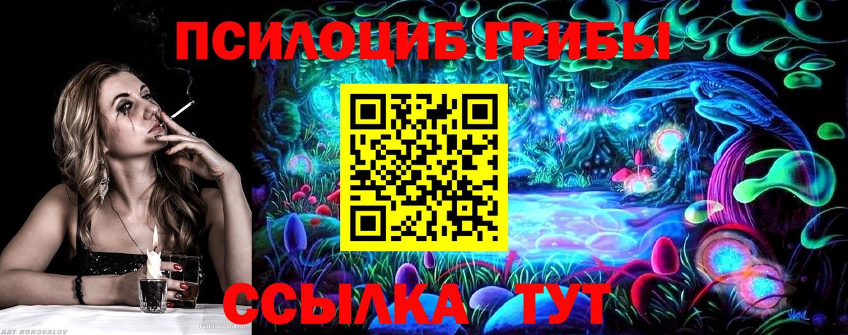 Псилоцибиновые грибы GOLDEN TEACHER  Галлюциногенные грибы прущие грибы  Вход с VPN  Якутск 